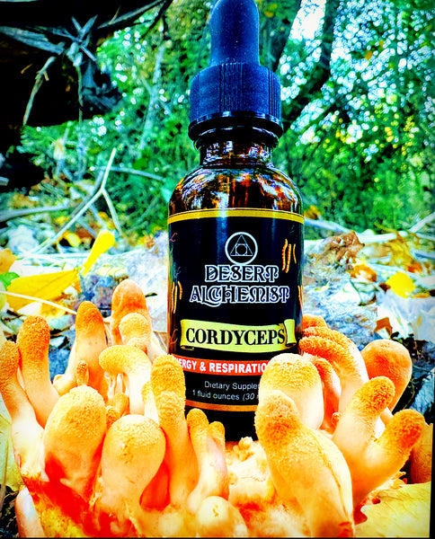 Cordyceps militaris Extract