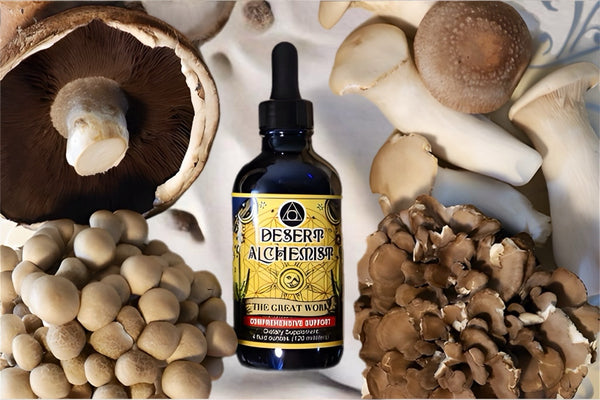 The Great Work (20+ Mushroom Blend)