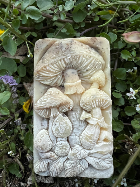 DA’s Mushroom mold soap