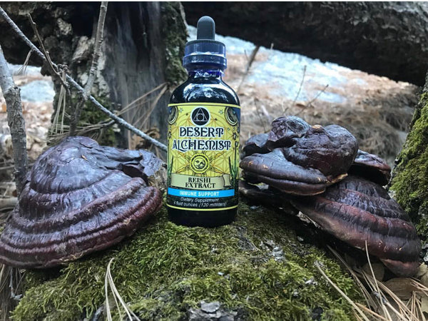 Reishi Mushroom Extract