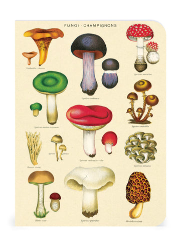 Mushroom Mini Journal