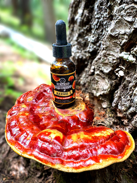 Reishi Mushroom Extract