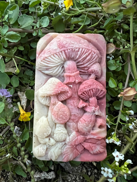 DA's Mushroom mold soap – Desert Alchemist