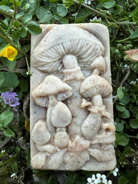 DA’s Mushroom mold soap