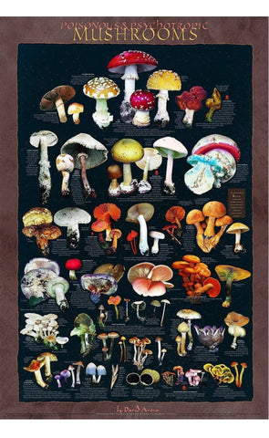 Poisonous and Psychedelic mushroom poster
